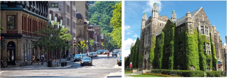 The City Of Westmount National Trust For Canada   Westmount Greene Avenue And Victoria Hall 768x264 