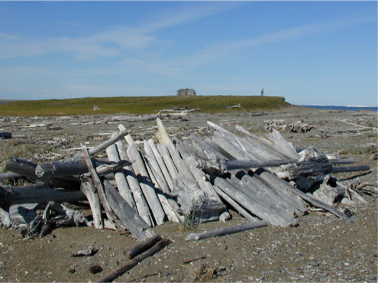 Herschel Island (Qikiqtaruk) - National Trust for Canada